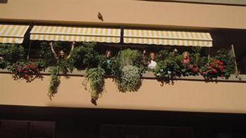 Elisart 2* Alghero